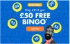 bingo-2023 banner